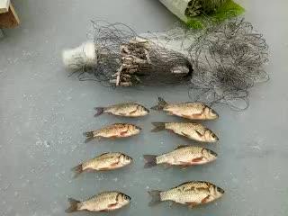 冰上漂移mv_冰上漂移mp3_冰上漂移视频 -YY