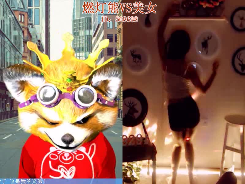 “污”我们是专业的 燃灯熊