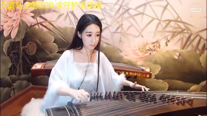 <菊花爆满山>古筝