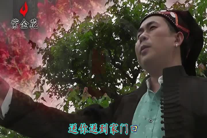 若有缘再相见 翻唱