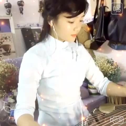 古筝 女儿情 初学