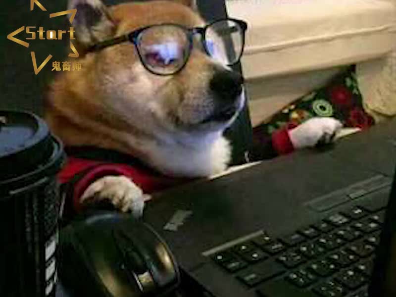 心海专辑第三首