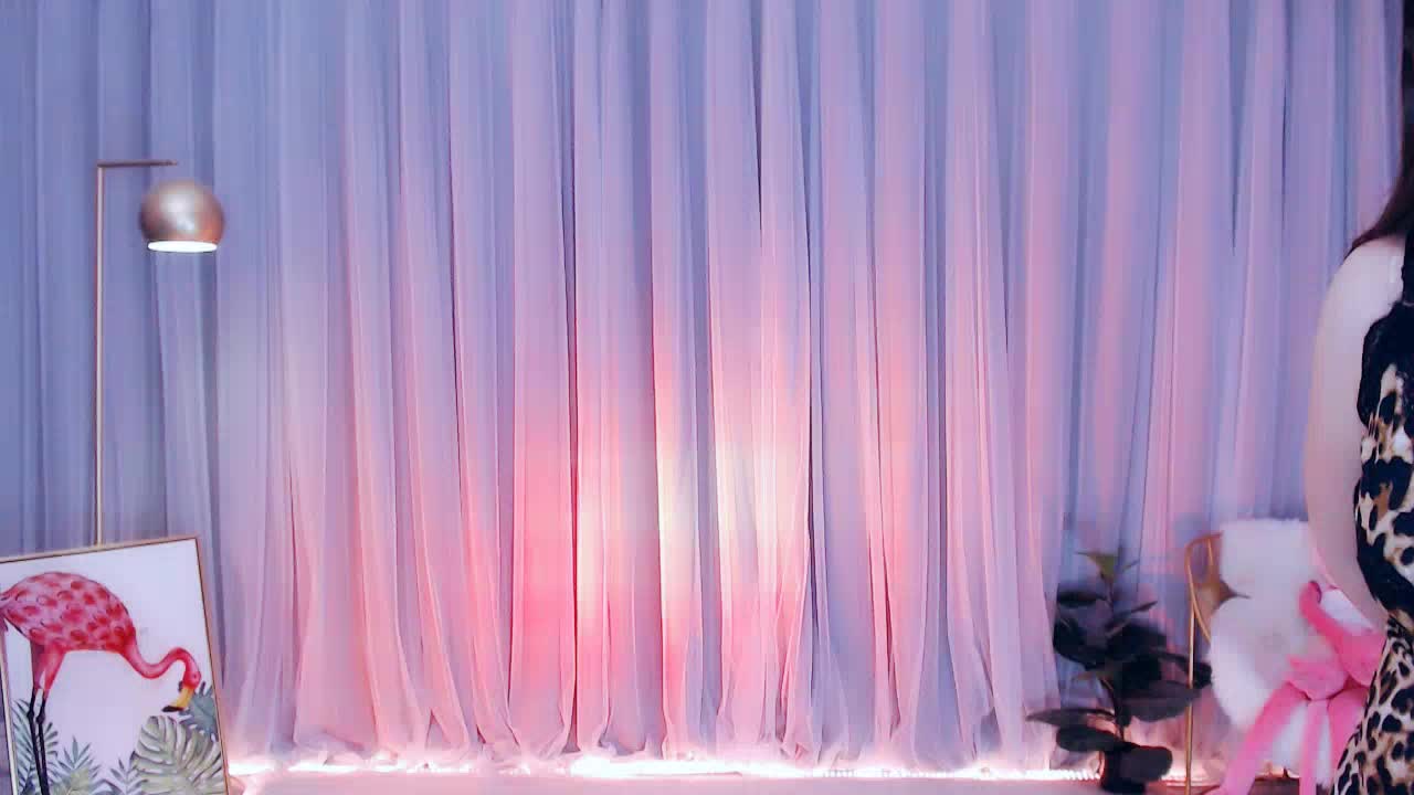 性感豹纹小野猫