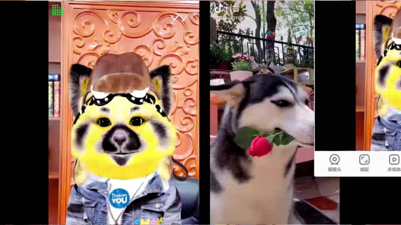 小呆vs小洲点个赞吧