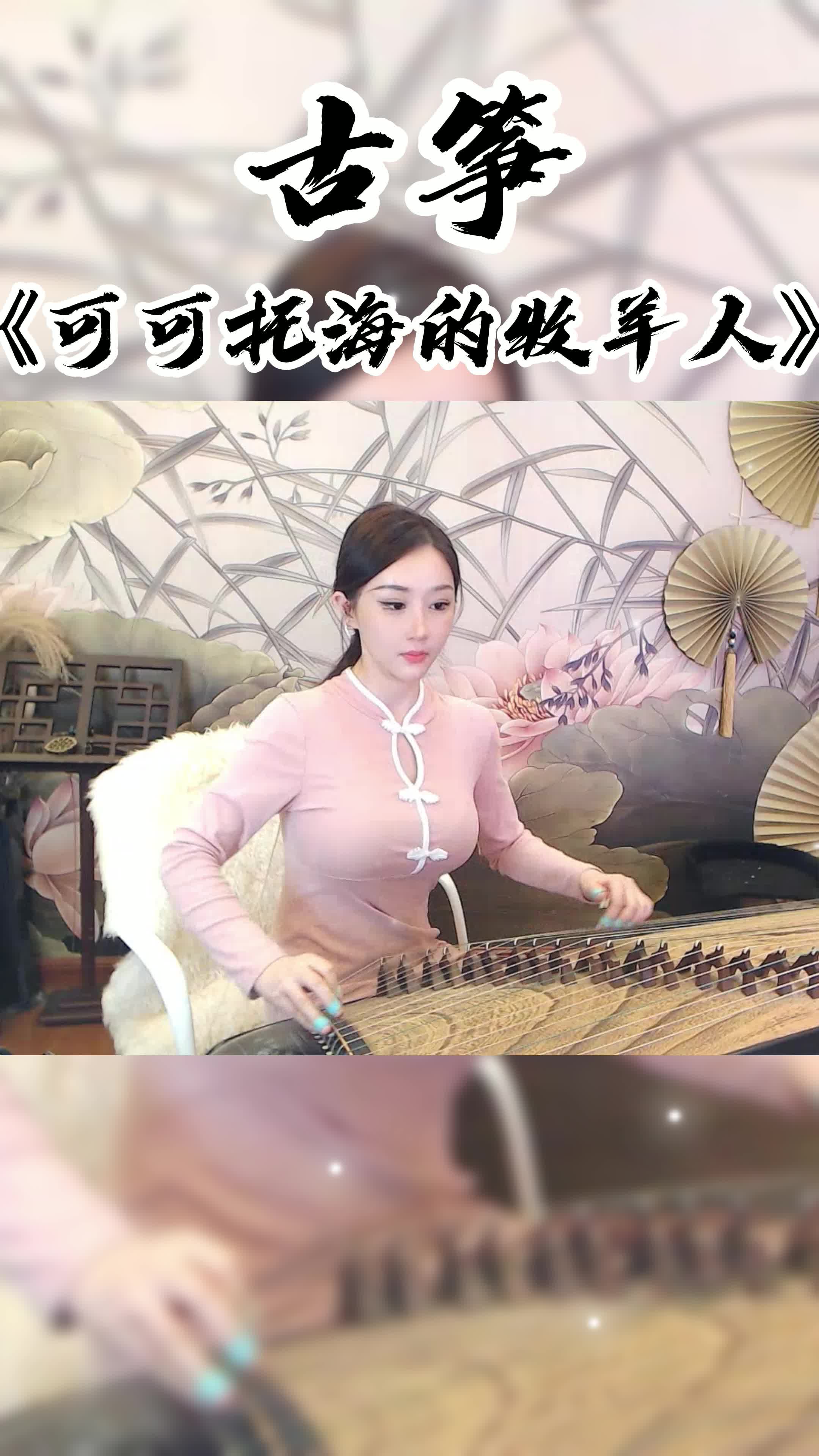 古筝《可可托海的牧羊人》，YY4812