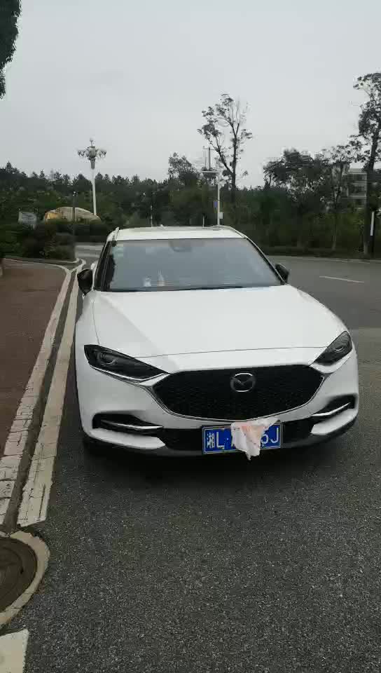 2021款2.5蓝天激情版