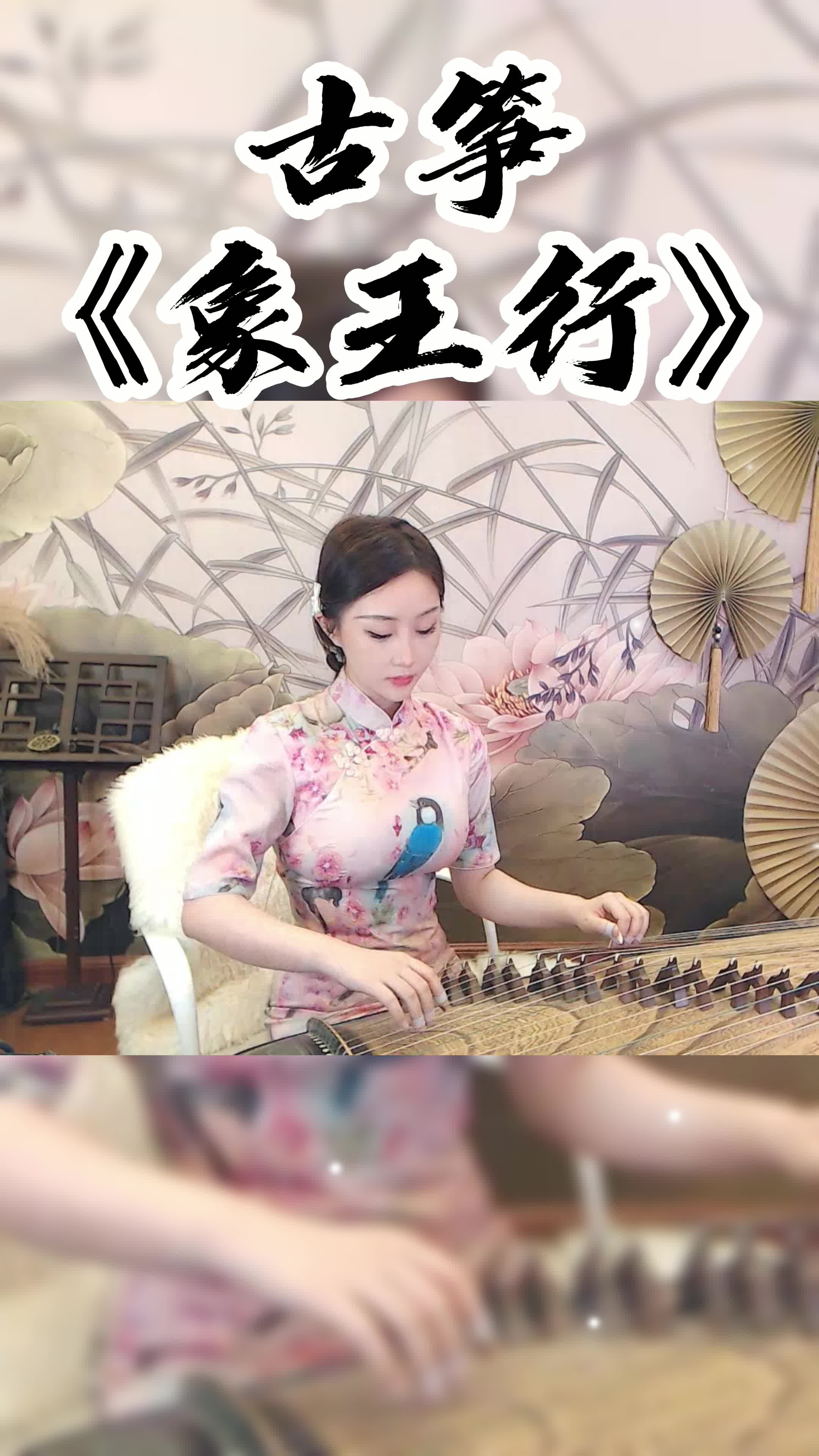 古筝《象王行》,YY4812