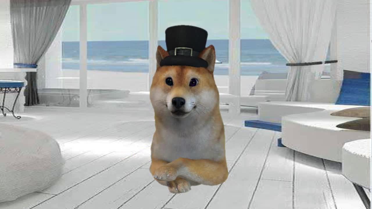 一人饮酒醉——萌天犬