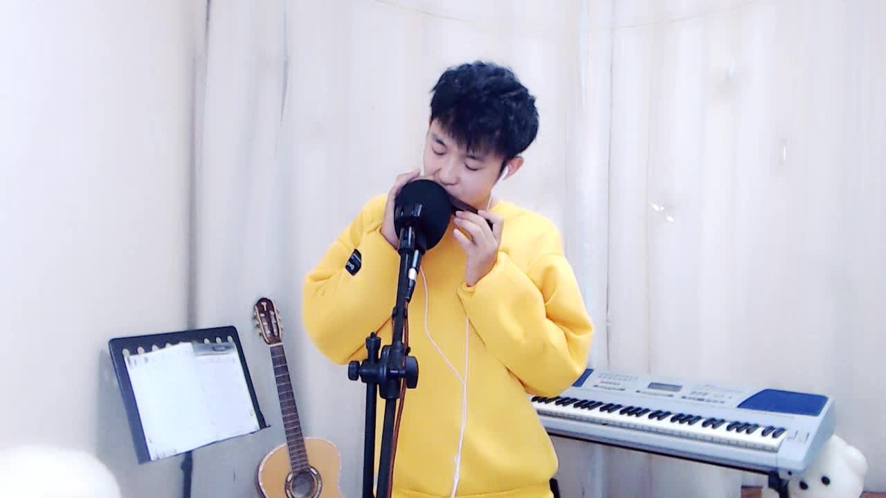 羞涩版甜蜜蜜(口琴吹奏)