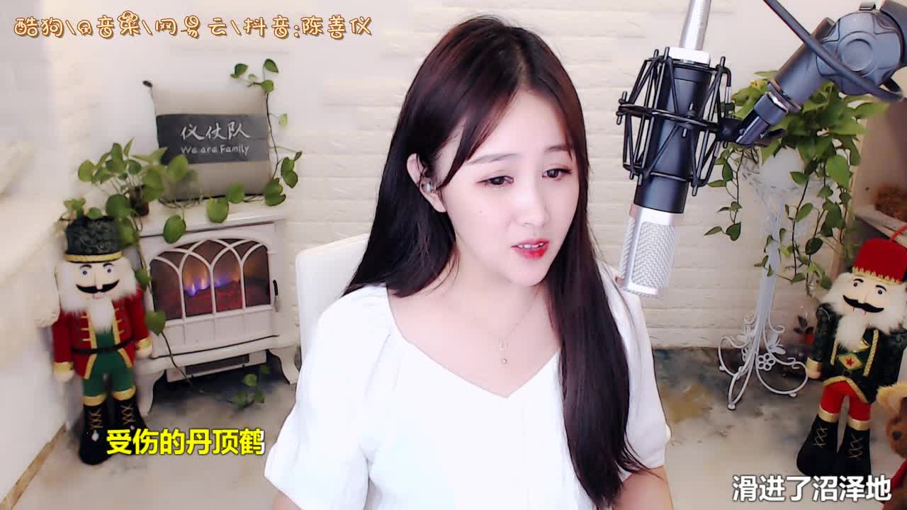 陈善仪-一个真实的故事丹顶鹤的故事