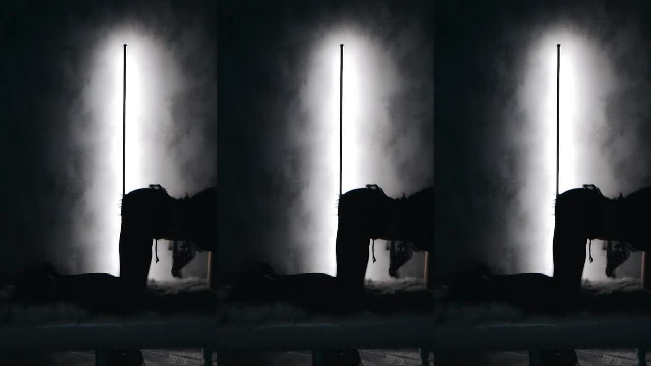 娅儿-【影子舞】